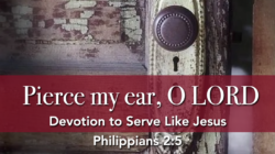 Pierce my ear, O Lord—Devotion to Serve Like Jesus